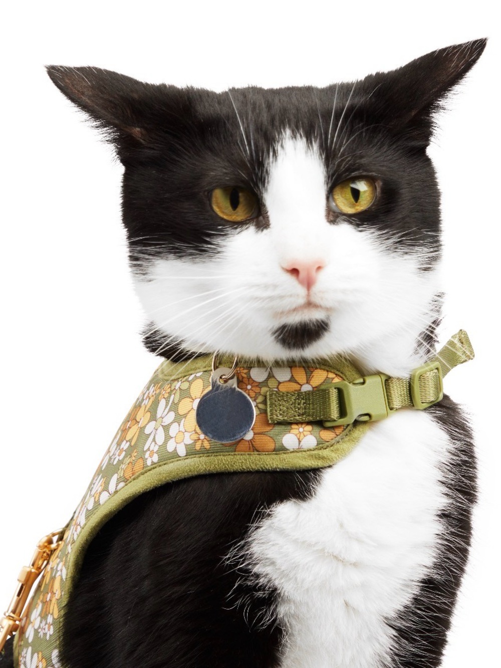 Olive Floral Cat Harness with Retro Daisies / missing leash